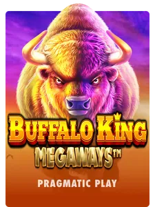 Buffalo King